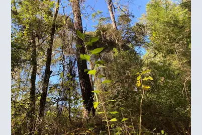 7373 E Savannah Court, Floral City, FL 34436 - Photo 7