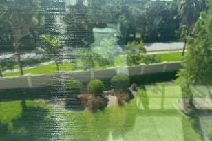 4053 Rocky Shores Dr, Tampa, FL 33634 - Photo 45