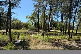 1882 Bellamy Rd, Florahome, FL 32140 - Photo 3