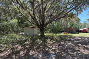 1882 Bellamy Rd, Florahome, FL 32140 - Photo 31