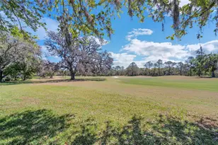 34516 Heavenly Ln, Dade City, FL 33525 - Photo 27