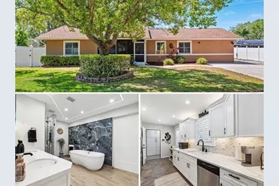 506 Spring Tree Court, Tarpon Springs, FL 34689 - Photo 1