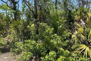 3714 Myers Ln, Saint James City, FL 33956 - Photo 3