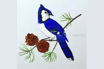 45 Hemlock Court, Palm Harbor, FL 34684 - Photo 25