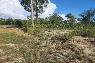 3303 13th St W, Lehigh Acres, FL 33971 - Photo 17