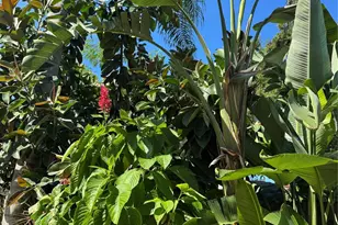 6213 12th Ave S, Gulfport, FL 33707 - Photo 35