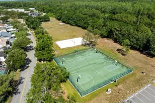 11503 Whispering Hollow Dr, Tampa, FL 33635 - Photo 67