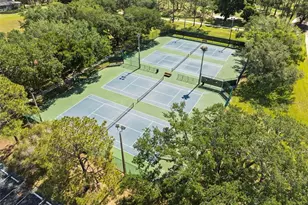 11503 Whispering Hollow Dr, Tampa, FL 33635 - Photo 55