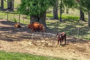 35657 Ashley Ln, Dade City, FL 33523 - Photo 57