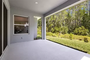 15329 Renaissance Ave, Odessa, FL 33556 - Photo 21