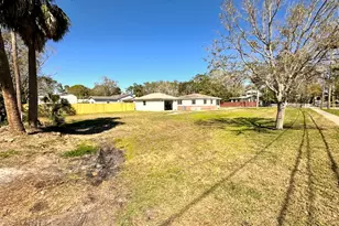 318 Banana St, Tarpon Springs, FL 34689 - Photo 7