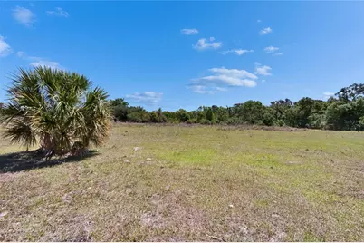 16894 Delia Street, Wimauma, FL 33598 - Photo 45