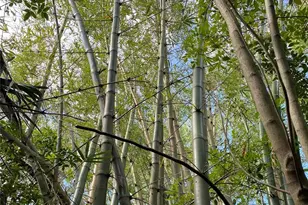 411 Solona St, Punta Gorda, FL 33950 - Photo 1