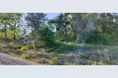 2808 Van Buren Street W, Inverness, FL 34453 - Photo 9