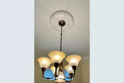 17127 Brown Road, Odessa, FL 33556 - Photo 15