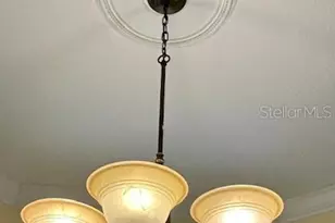 17127 Brown Rd, Odessa, FL 33556 - Photo 15