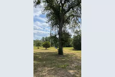 17127 Brown Road, Odessa, FL 33556 - Photo 5