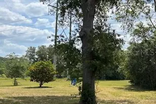 17127 Brown Rd, Odessa, FL 33556 - Photo 5