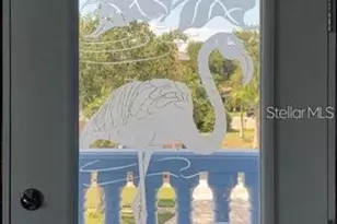 228 Shore Dr, Tarpon Springs, FL 34689 - Photo 59