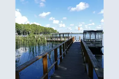 1218 Gillespie Drive N, Palm Harbor, FL 34684 - Photo 29