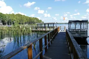 1218 Gillespie Dr N, Palm Harbor, FL 34684 - Photo 29