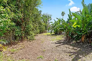 2513 Regal River Rd, Valrico, FL 33596 - Photo 45