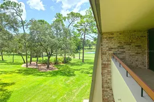 36750 US Hwy 19 N, Palm Harbor, FL 34684 - Photo 33