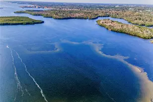 117 Carlyle Dr, Palm Harbor, FL 34683 - Photo 7