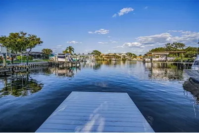 117 Carlyle Drive, Palm Harbor, FL 34683 - Photo 23