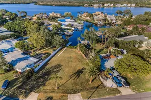 117 Carlyle Dr, Palm Harbor, FL 34683 - Photo 3