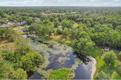 1226 Debuel Road, Lutz, FL 33549 - Photo 39