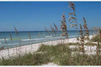 2700 Bayshore Boulevard #542, Dunedin, FL 34698 - Photo 31