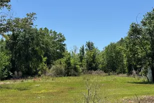 15130 N 104th St, Live Oak, FL 32060 - Photo 19