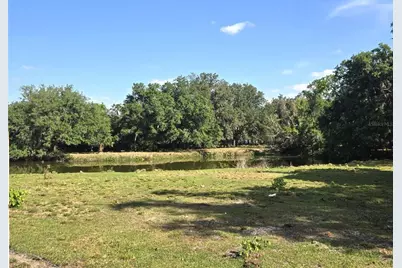 3101 Medulla Road, Plant City, FL 33566 - Photo 57