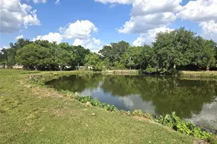 3101 Medulla Rd, Plant City, FL 33566 - Photo 73