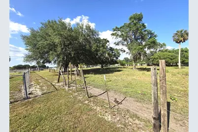 3101 Medulla Road, Plant City, FL 33566 - Photo 65