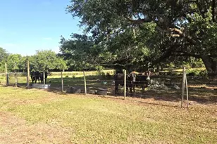 3101 Medulla Rd, Plant City, FL 33566 - Photo 53