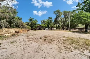 13907 Raulerson Rd, Riverview, FL 33569 - Photo 7