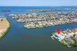 935 Chipaway Dr, Apollo Beach, FL 33572 - Photo 91