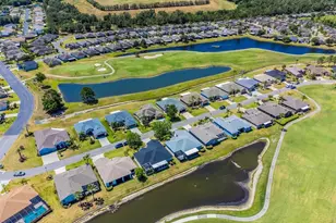 29432 Coharie Loop, San Antonio, FL 33576 - Photo 91