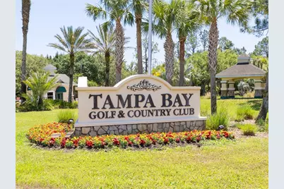 29432 Coharie Loop, San Antonio, FL 33576 - Photo 41