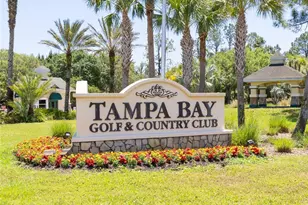 29432 Coharie Loop, San Antonio, FL 33576 - Photo 41