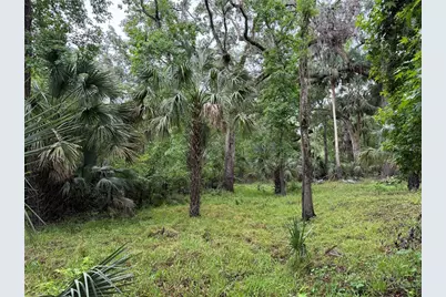 Lot #2 Coconut Cove Place, Valrico, FL 33596 - Photo 1