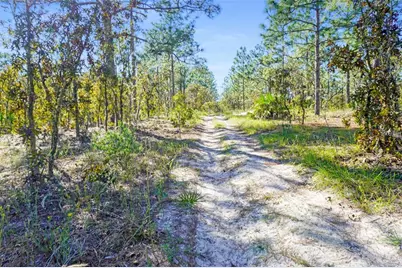 0 SW 103rd Lane, Dunnellon, FL 34432 - Photo 7