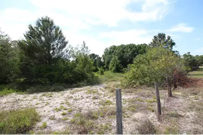 Old East Lake, Tarpon Springs, FL 34688 - Photo 23