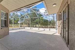 10517 Palm Cove Ave, Tampa, FL 33647 - Photo 51