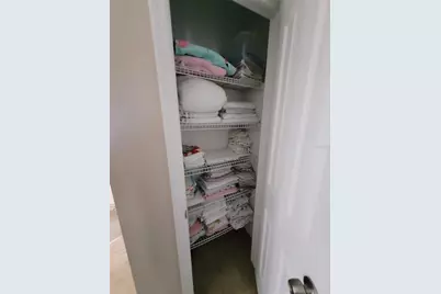 4633 White Bay Circle, Wesley Chapel, FL 33545 - Photo 31