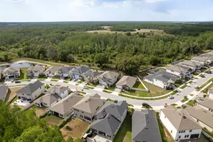 21590 Violet Periwinkle Dr, Land O Lakes, FL 34637 - Photo 57