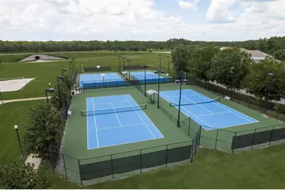 21590 Violet Periwinkle Drive, Land O Lakes, FL 34637 - Photo 69