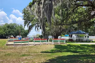 5446 Joyce St, Zephyrhills, FL 33542 - Photo 59